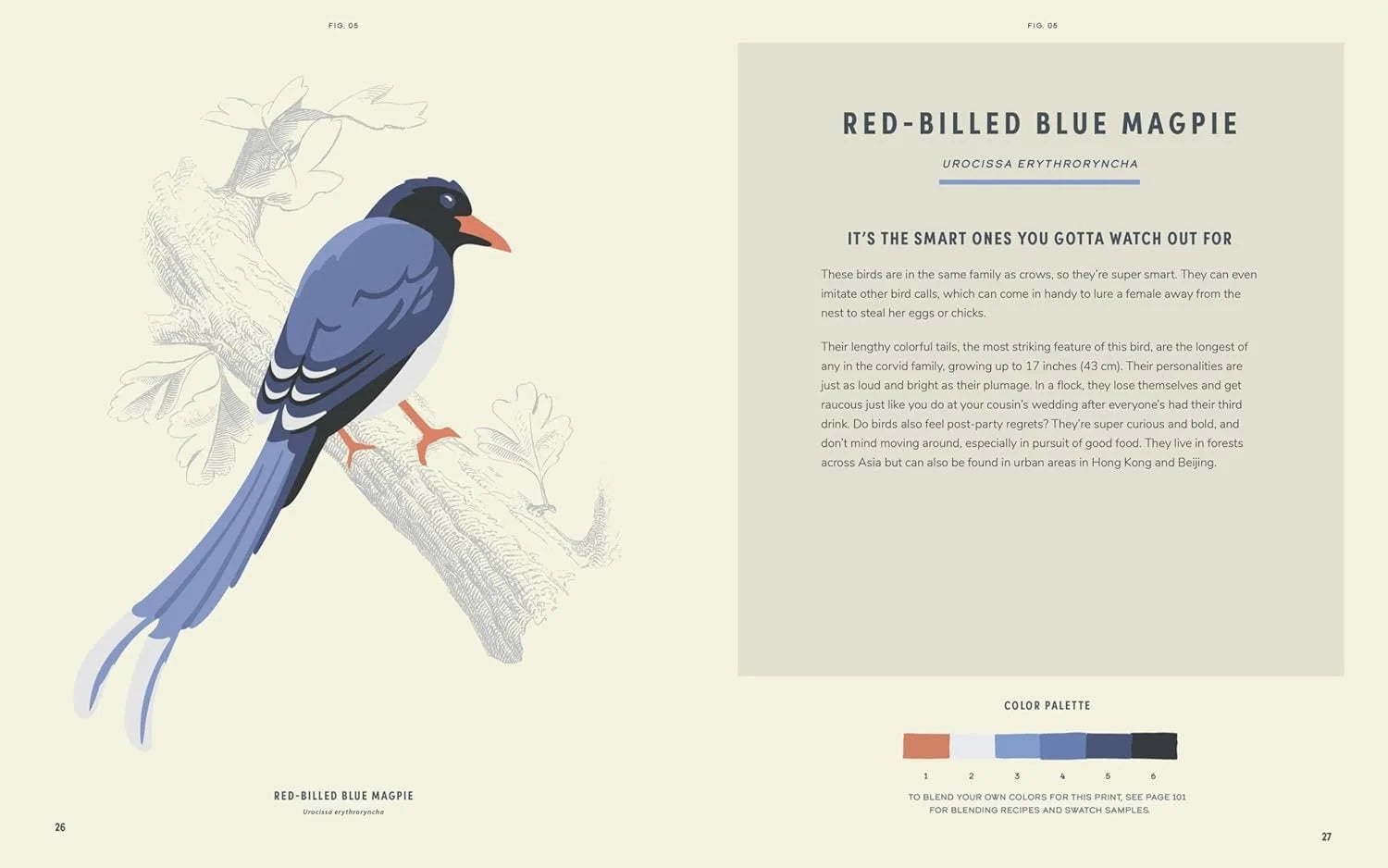 COLOREADY BIRDS BOOK