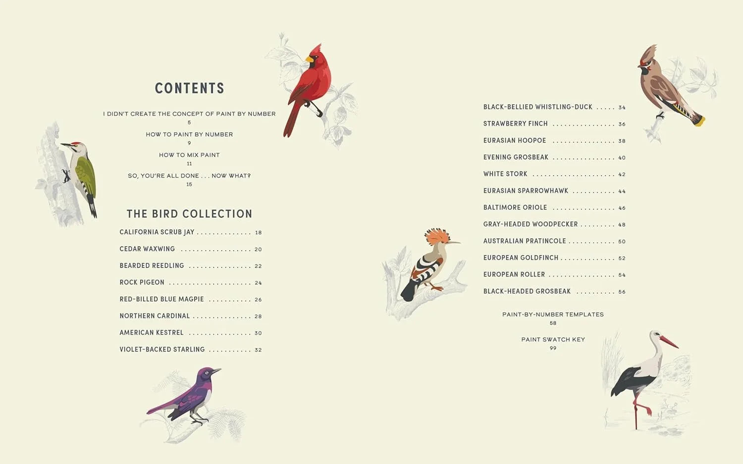 COLOREADY BIRDS BOOK