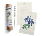 BLUE COLUMBINE BOTANICAL KIT