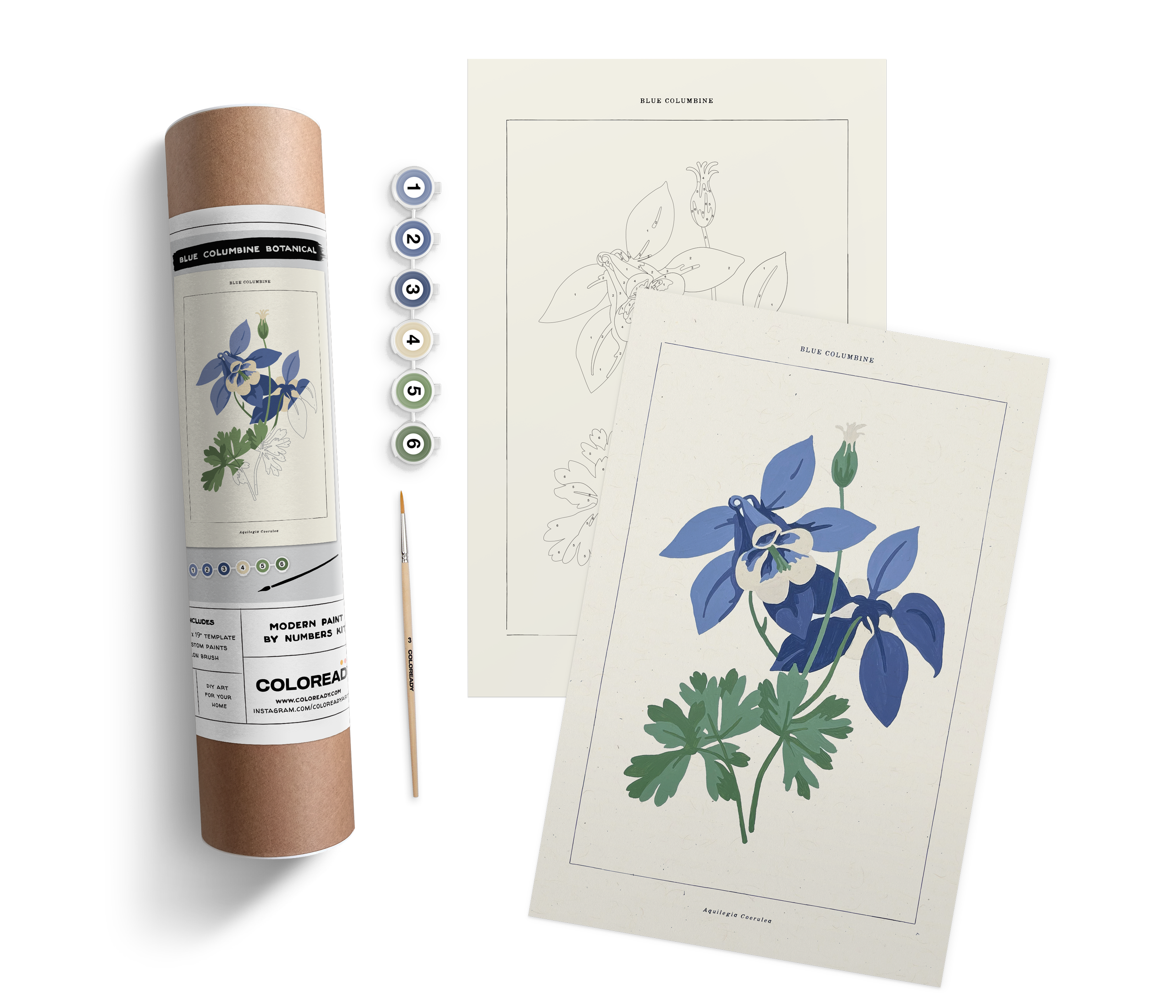 BLUE COLUMBINE BOTANICAL KIT