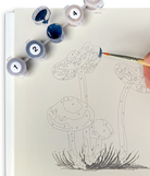PAINT SET ONLY for the MUSHOOMS BOOK