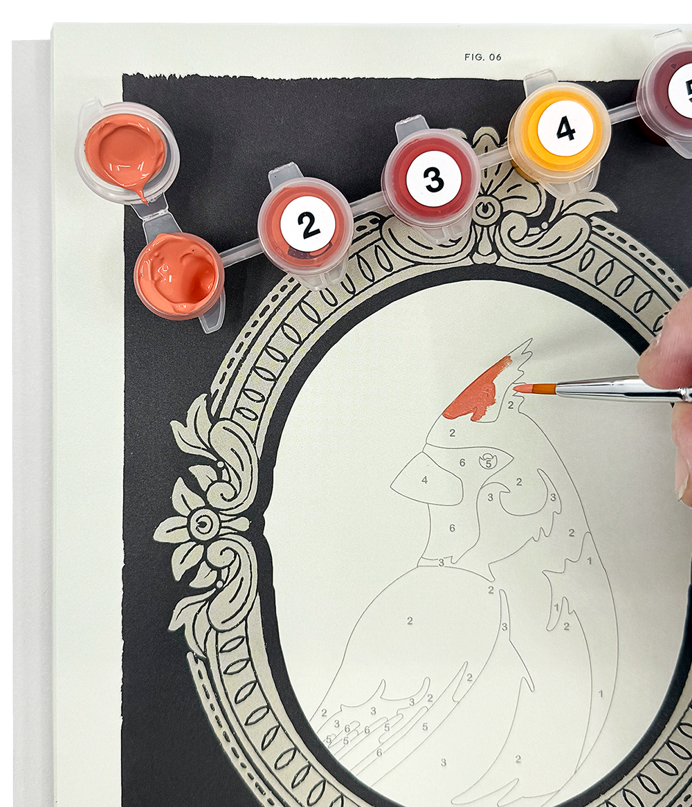 PAINT SET ONLY - for the BIRDS BOOK