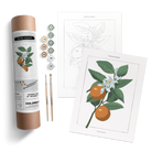 ORANGE BLOSSOM BOTANICAL