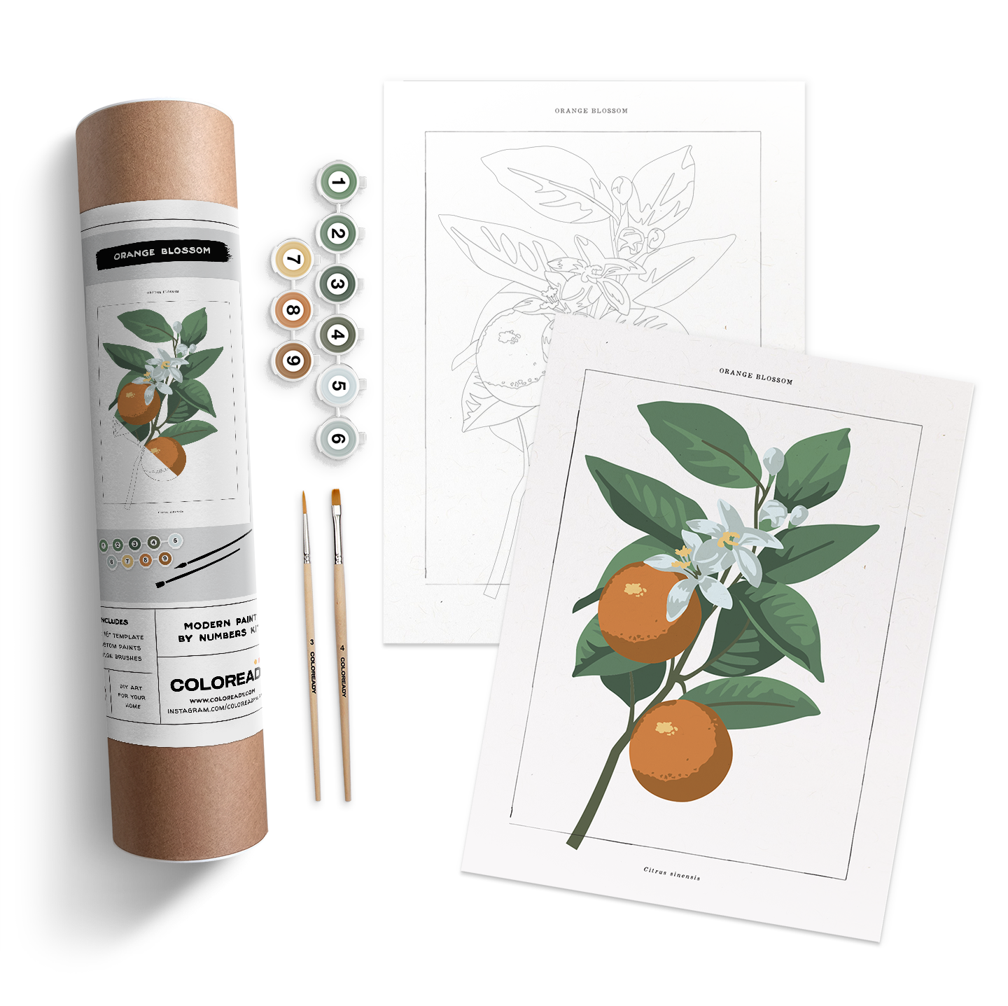 ORANGE BLOSSOM BOTANICAL