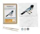 BIRD STUDY : SWALLOW