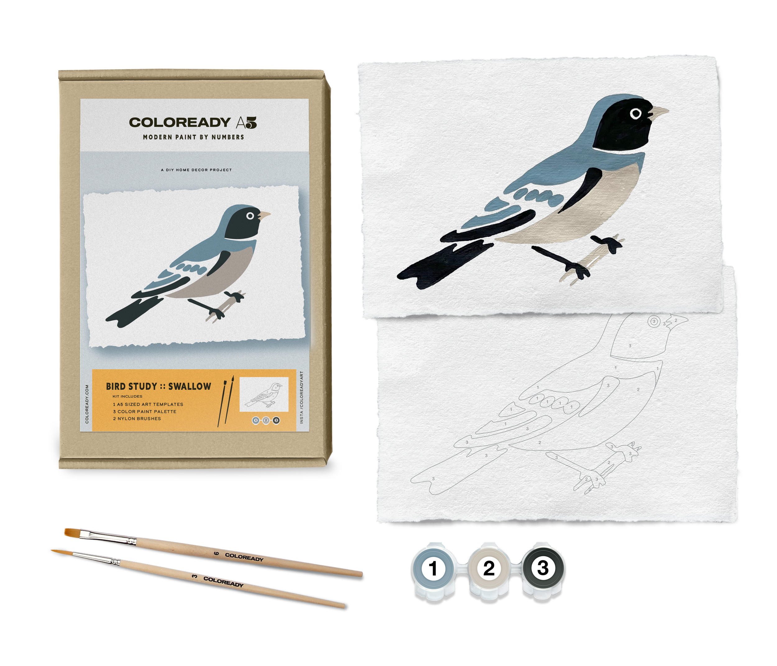 BIRD STUDY : SWALLOW