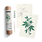 CANNABIS BOTANICAL KIT