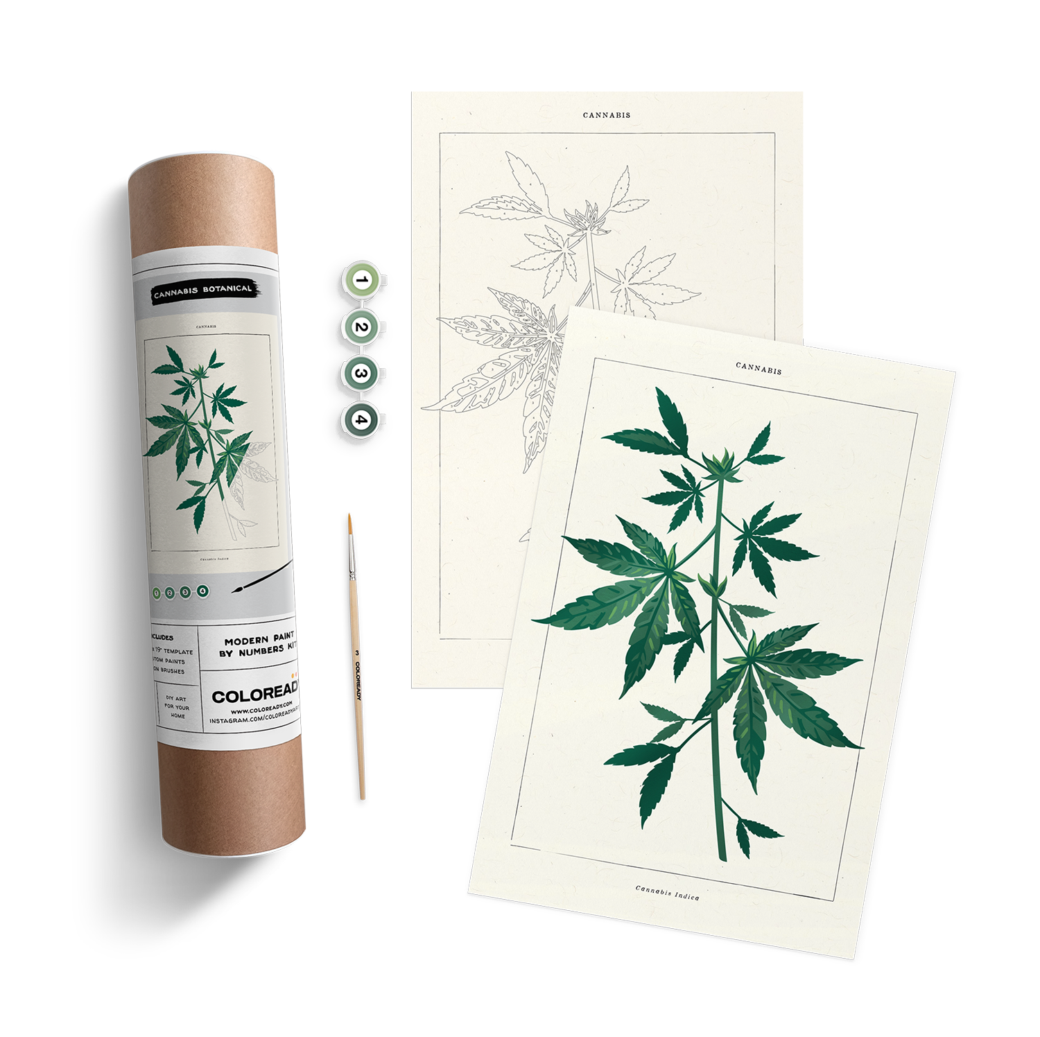 CANNABIS BOTANICAL KIT