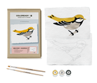 BIRD STUDY : GOLDFINCH