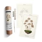 MUSHROOM BOTANICAL KIT