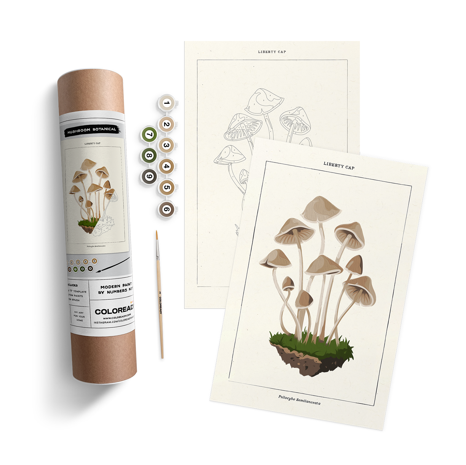 MUSHROOM BOTANICAL KIT