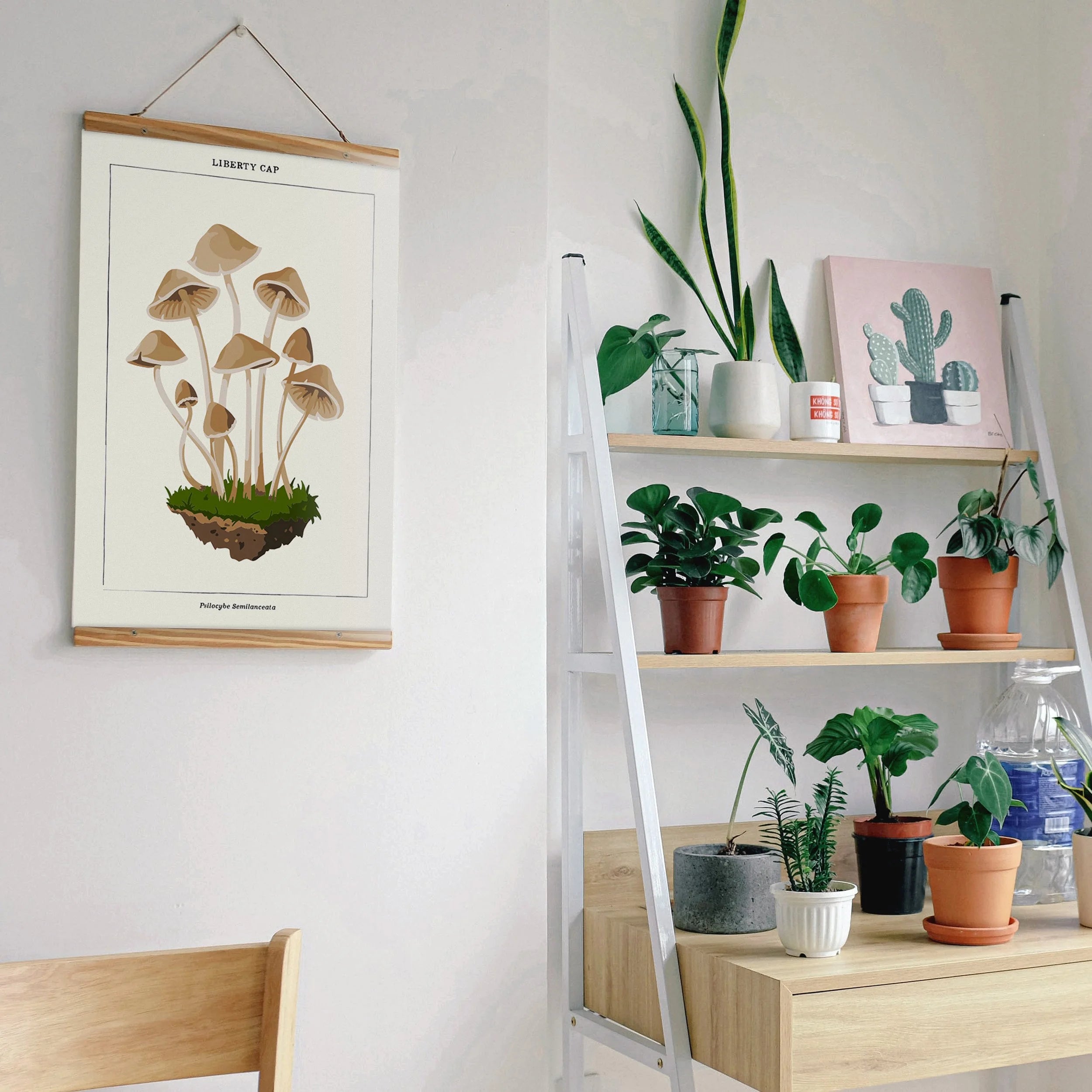 MUSHROOM BOTANICAL KIT