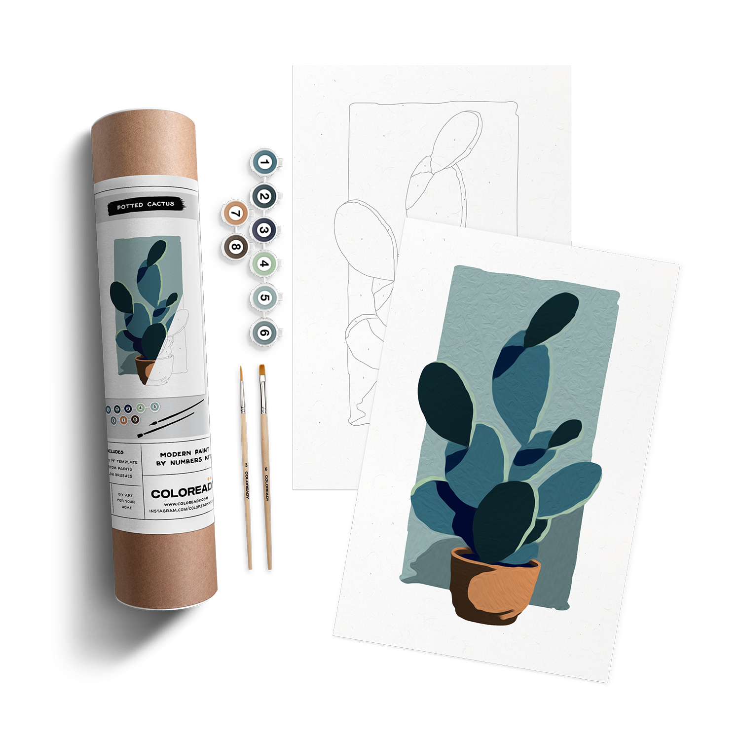 POTTED CACTUS KIT