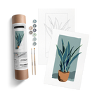 POTTED SNAKE PLANT KIT