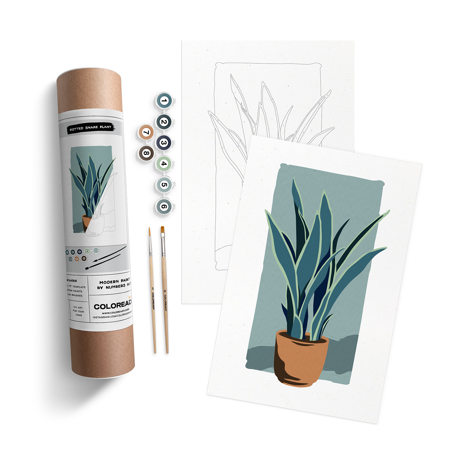POTTED SNAKE PLANT KIT