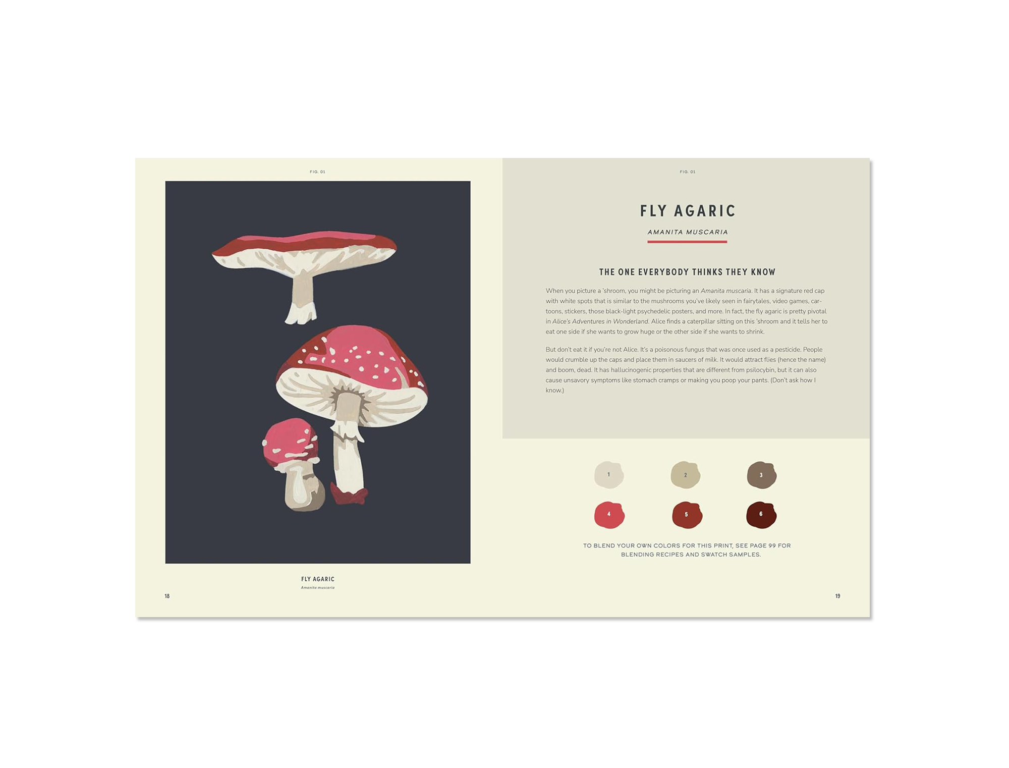 COLOREADY MUSHROOMS BOOK